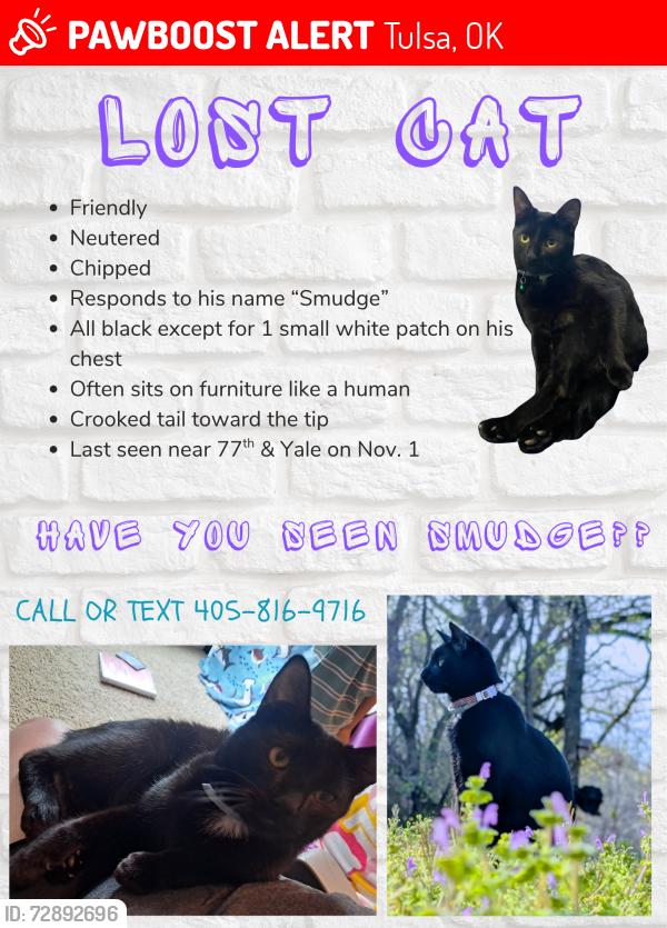 Lost Male Cat last seen Near s canton Ave, Tulsa, OK 74136