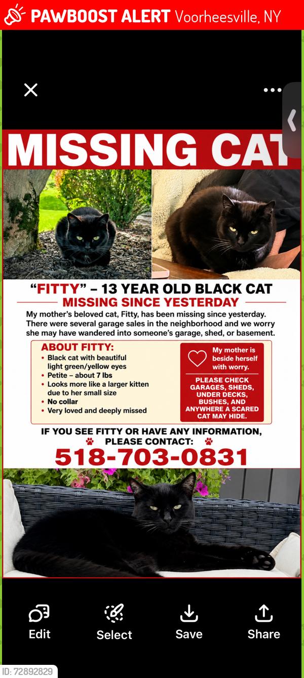 Lost Female Cat last seen Wormer Rd and Wedgewood Lane, Voorheesville, NY 12186