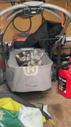 Lost Unknown Cat last seen Food Lion and/or Rutherfordton clbh, Rutherfordton, NC 28139