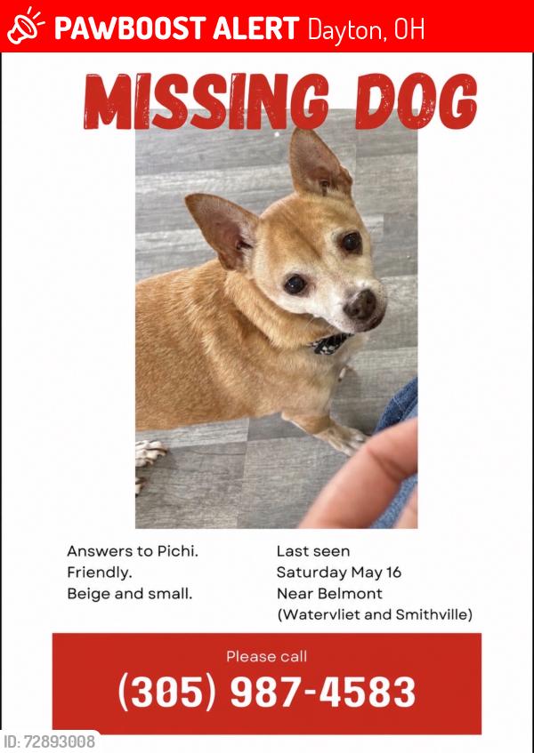 Lost Male Dog last seen Belmont area , Dayton, OH 45420