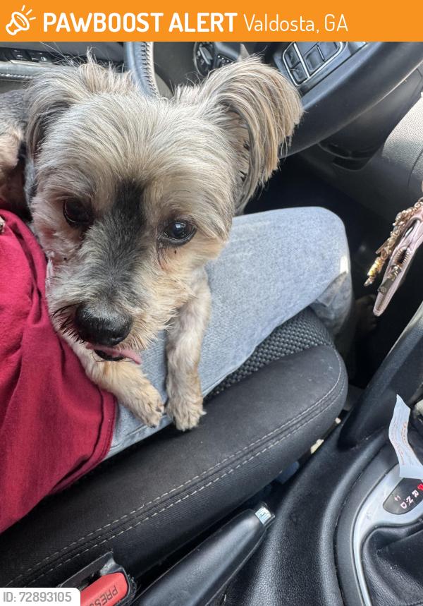 Found/Stray Male Dog last seen Near mcdougal st , Valdosta, GA 31601