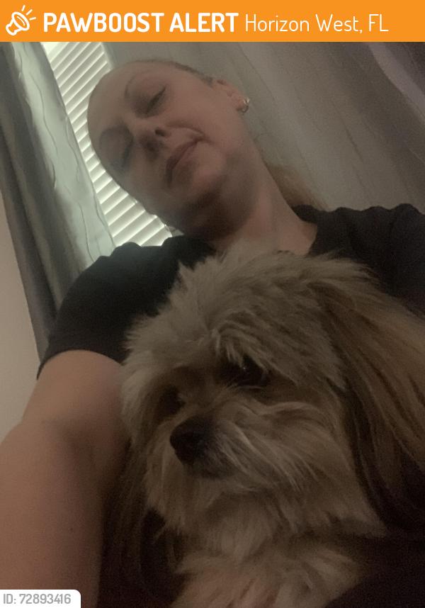 Found/Stray Male Dog last seen Crescendo Ave and Angle Pond, Horizon West, FL 34786