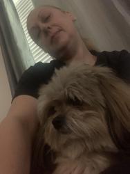 Found/Stray Male Dog last seen Crescendo Ave and Angle Pond, Horizon West, FL 34786