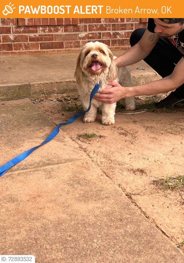 Found/Stray Male Dog last seen Far back of Windsor Oaks/ests near construction of new apmts , Broken Arrow, OK 74011