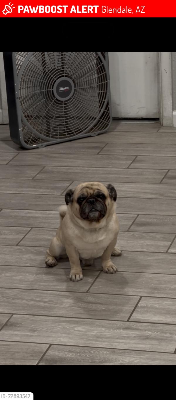 Lost Male Dog last seen Near , Glendale, AZ 85302