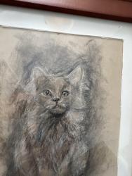 Lost Female Cat last seen Orchard Lake Rd & Lone Pine Rd, West Bloomfield Township, MI 48323