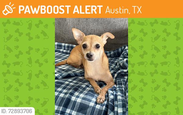 Found/Stray Female Dog last seen I-35 and William Cannon, Austin, TX 78745