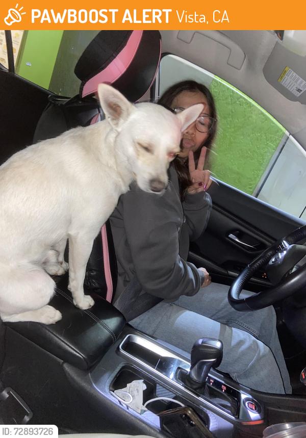 Found/Stray Male Dog last seen West drive, Vista, CA 92056