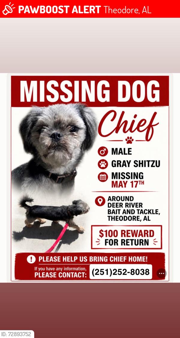 Lost Male Dog last seen Deer River tackle and bait shop , Theodore, AL 36582