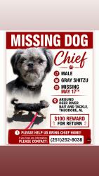 Lost Male Dog last seen Deer River tackle and bait shop , Theodore, AL 36582