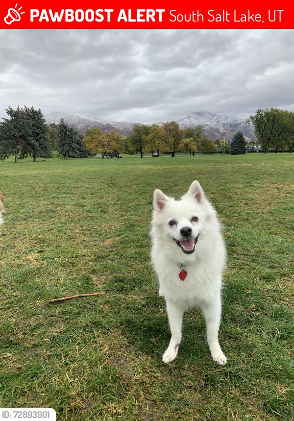 Lost Male Dog last seen Near S Park Meadows St , South Salt Lake, UT 84106