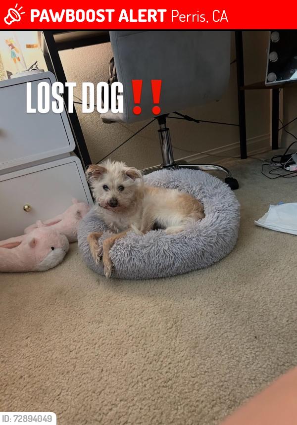 Lost Male Dog last seen Lake perris, Perris, CA 92571