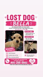 Lost Female Dog last seen Willam’s st, Santa Maria, CA 93458