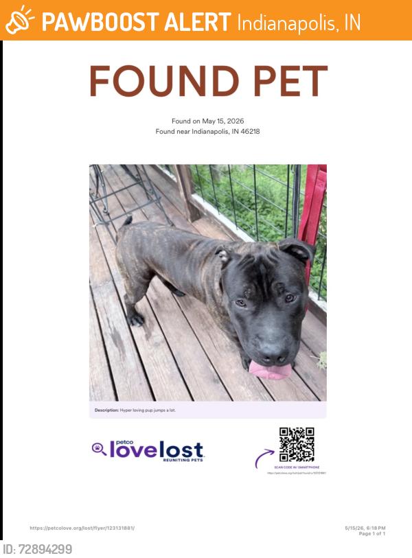 Found/Stray Male Dog last seen 30th/keystone, Indianapolis, IN 46218