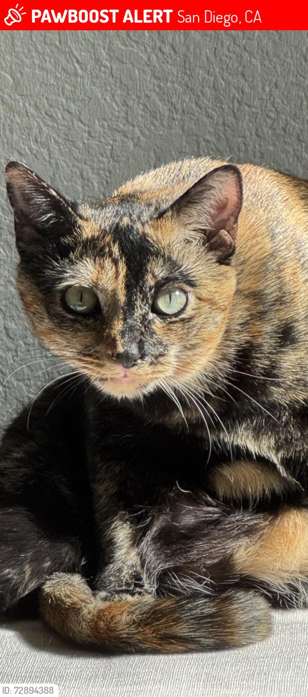 Lost Female Cat last seen Tampere & Scripps Creek Drive , San Diego, CA 92131