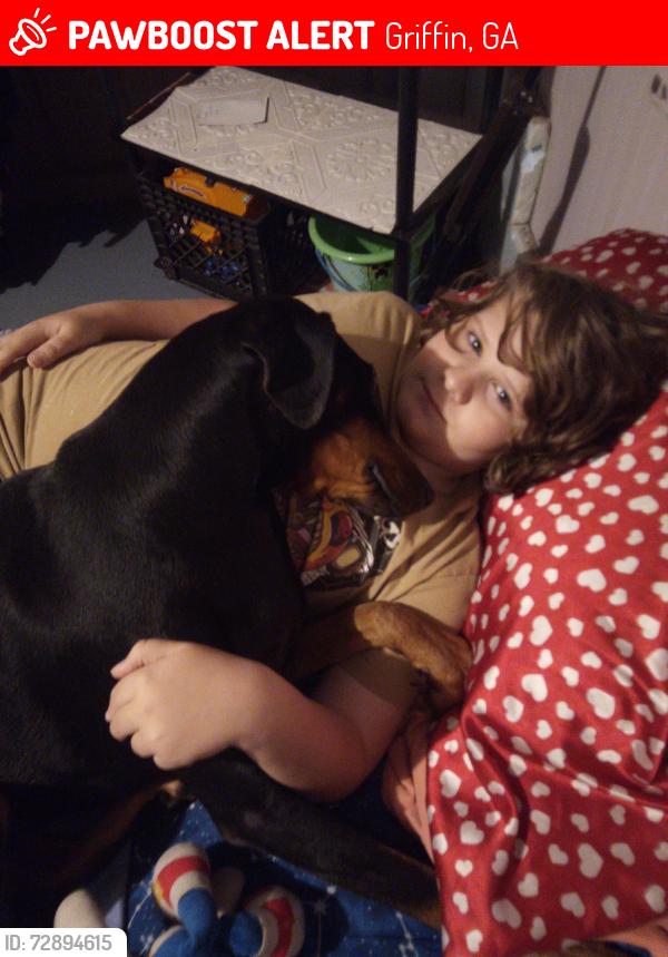 Lost Female Dog last seen Near Kennedy road, Griffin, GA 30223