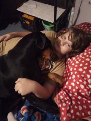 Lost Female Dog last seen Near Kennedy road, Griffin, GA 30223