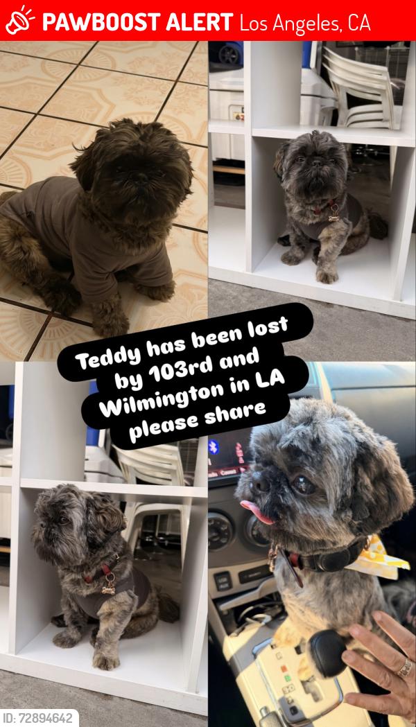 Lost Male Dog last seen Near in watts, Los Angeles, CA 90002