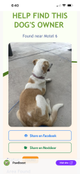 Found/Stray Female Dog last seen Highway , Cleburne, TX 76033