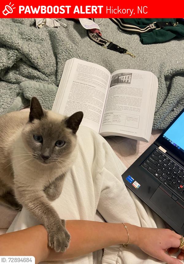Lost Female Cat last seen Lake Hickory Country Club, Hickory, NC 28601