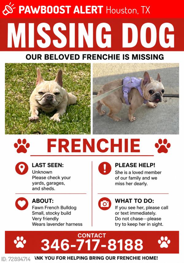 Lost Female Dog last seen Parker, Houston, TX 77016