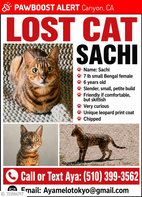 Lost Female Cat last seen ests dr & pinehurst rd , Canyon, CA 94516