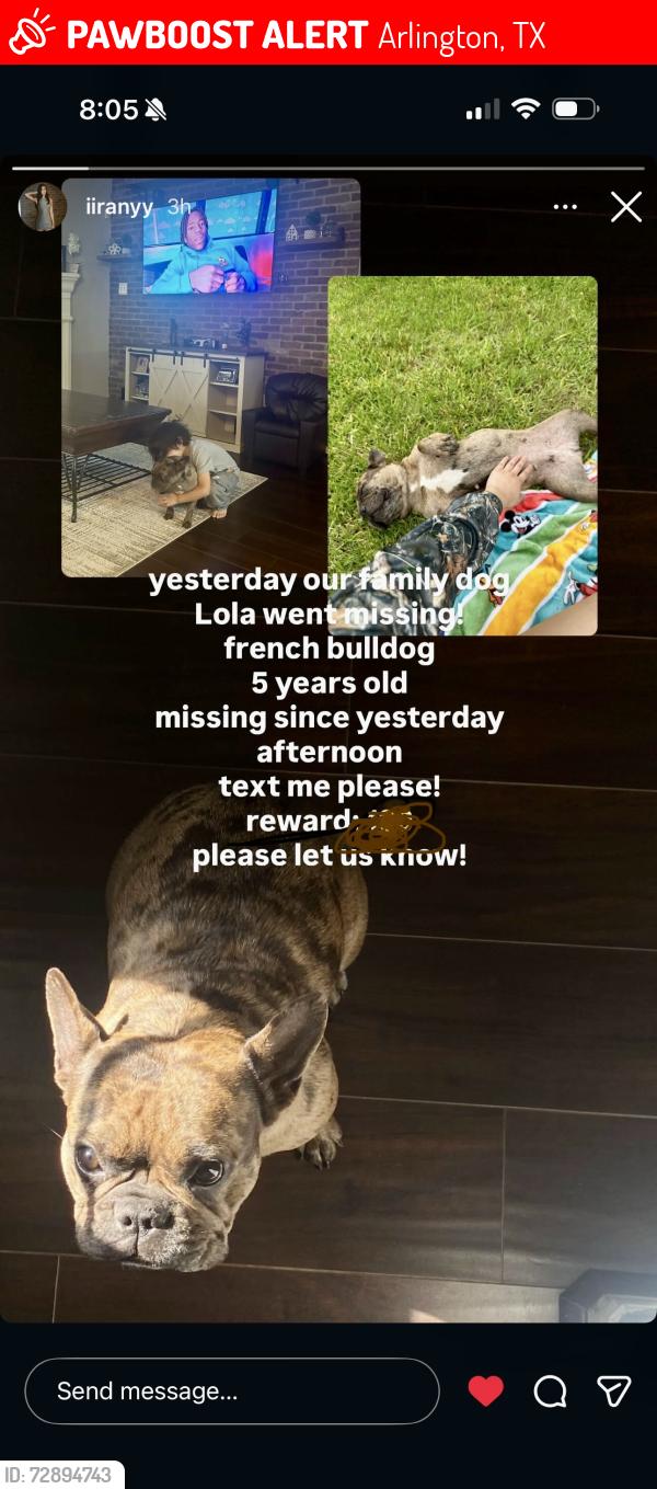 Lost Female Dog last seen Mesquite hill drive, Arlington, TX 76002
