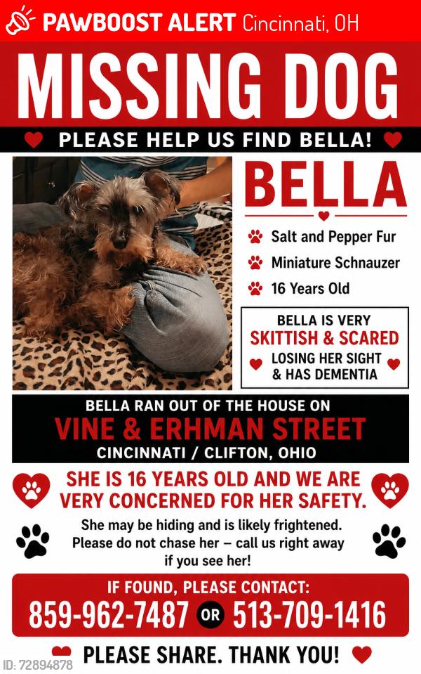 Lost Female Dog last seen Went missing from the apartments on vine street right in front of Ehrman street (by the cemetery) , Cincinnati, OH 45220