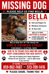 Lost Female Dog last seen Went missing from the apartments on vine street right in front of Ehrman street (by the cemetery) , Cincinnati, OH 45220