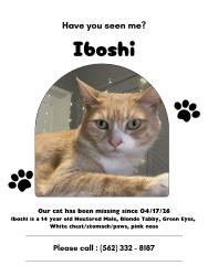 Lost Male Cat last seen Wickshire Ave, Hacienda Heights, CA 91745