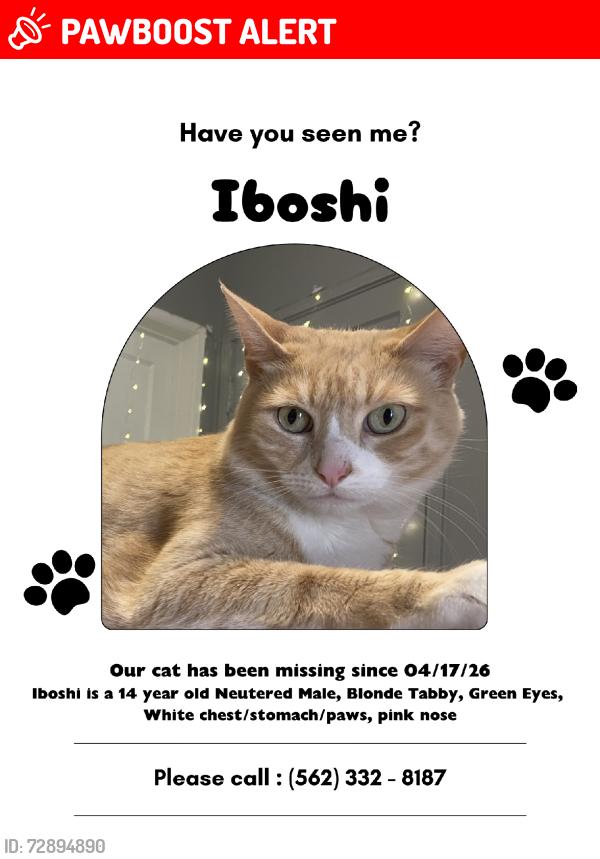 Lost Male Cat last seen Wickshire Ave, Hacienda Heights, CA 91745