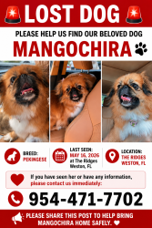 Reunited Female Dog last seen The Ridges; Falcon Ridge and Heron, Fort Lauderdale, FL 33331