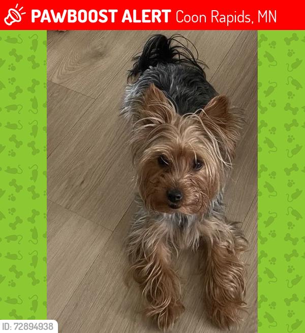 Lost Female Dog last seen Coon Rapids, Coon Rapids, MN 55433