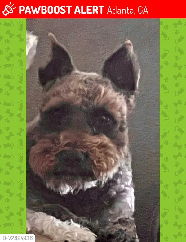 Lost Female Dog last seen Donald Lee Hollowell Parkway, Atlanta, GA 30318