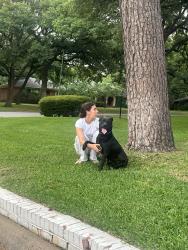 Found/Stray Male Dog last seen Collins and mitc st , Arlington, TX 76010