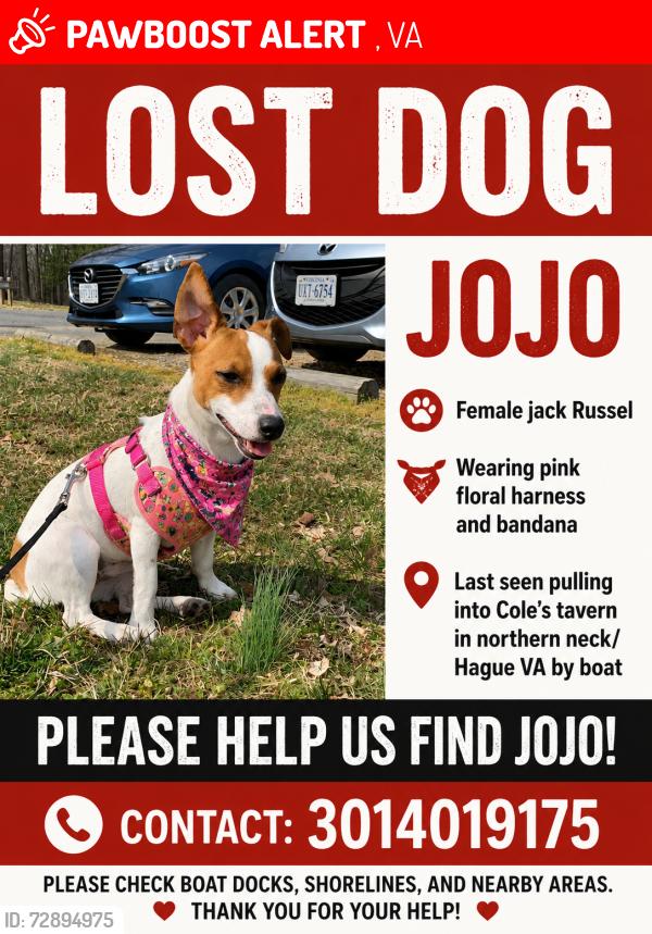 Lost Female Dog last seen Near Salisbury park road , Kilmarnock, VA 22482