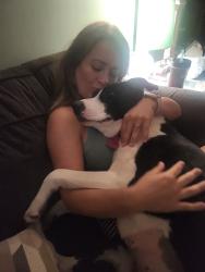 Lost Female Dog last seen Alcorn, Peeples, Crutchfield , Oak Ridge, NC 27310