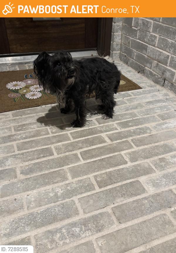 Found/Stray Female Dog last seen Aspire Way & 242 , Conroe, TX 77301