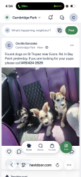 Found/Stray Unknown Dog last seen Evora Rd, Bay Point, CA 94565