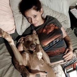 Reunited Female Dog last seen Near stagecoach trail Shelby NC , Shelby, NC 28150