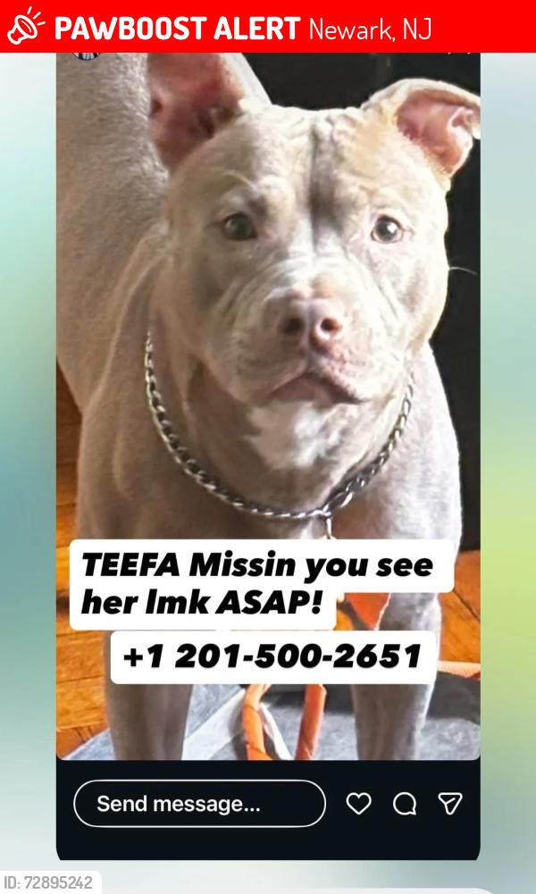 Lost Female Dog last seen Park Ave , Newark, NJ 07107
