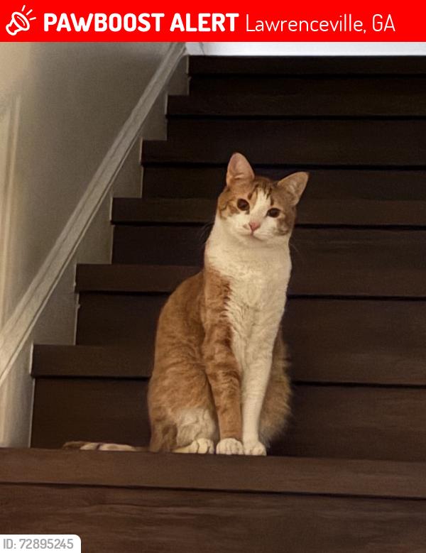 Lost Male Cat last seen Soapstone Rd, Lawrenceville, GA 30045