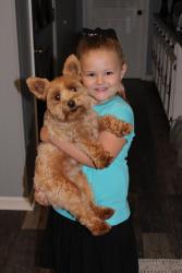 Lost Female Dog last seen Near Pleasant Hill Rd Copperhill Tn , Copperhill, TN 37317