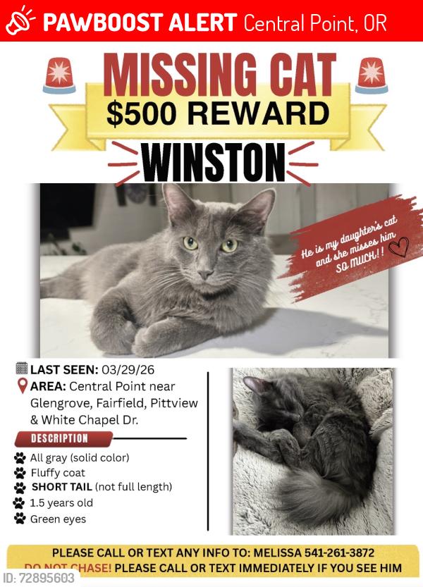 Lost Male Cat last seen Glengrove ave, Central Point, OR 97502
