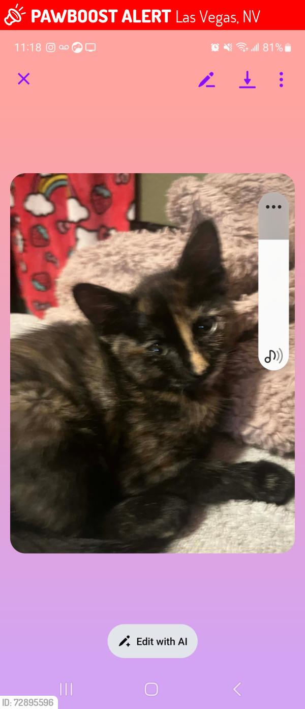 Lost Female Cat last seen I am in the Summerlin area, near the corner of Napa Ridge and Calistoga Springs, just down the street from the Arbors Tennis Park., Las Vegas, NV 89144