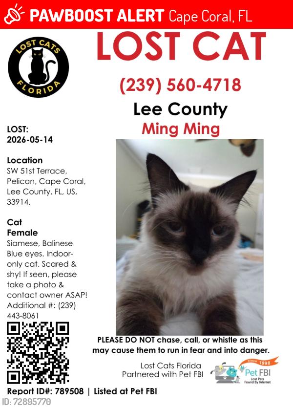 Lost Female Cat last seen Sw 51 terr and sw 51 st, Cape Coral, FL 33914