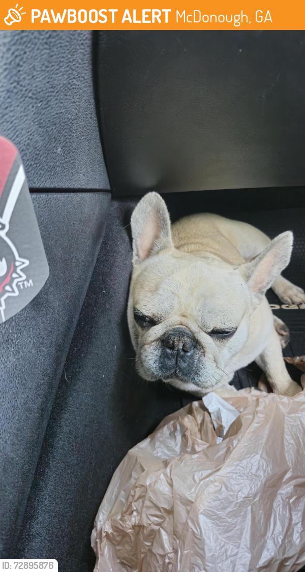 Found/Stray Male Dog last seen Tussahaw Crossing, McDonough, GA 30252