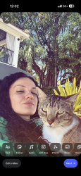 Lost Male Cat last seen Flamingodr, Fort Lauderdale, FL 33301