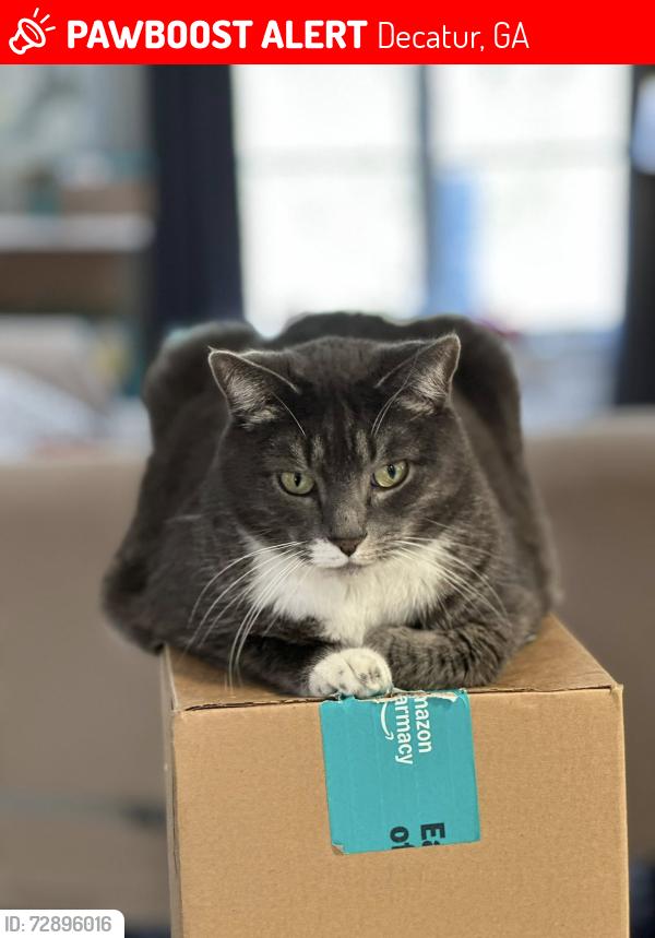 Lost Male Cat last seen Carter Rd and Midway Rd, Decatur, GA 30030