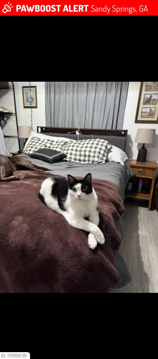 Lost Male Cat last seen Ridgeview Middle School , Sandy Springs, GA 30342
